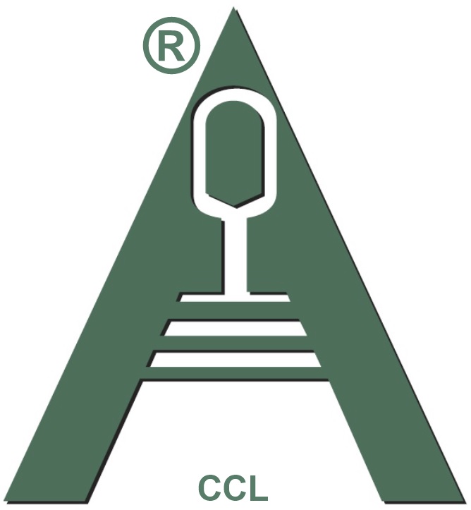 Collins Corporation Logo